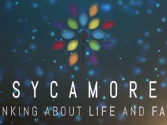 Sycamore: a new programme of evangelisation and catechesis for use in parishes, chaplaincies, schools and other settings